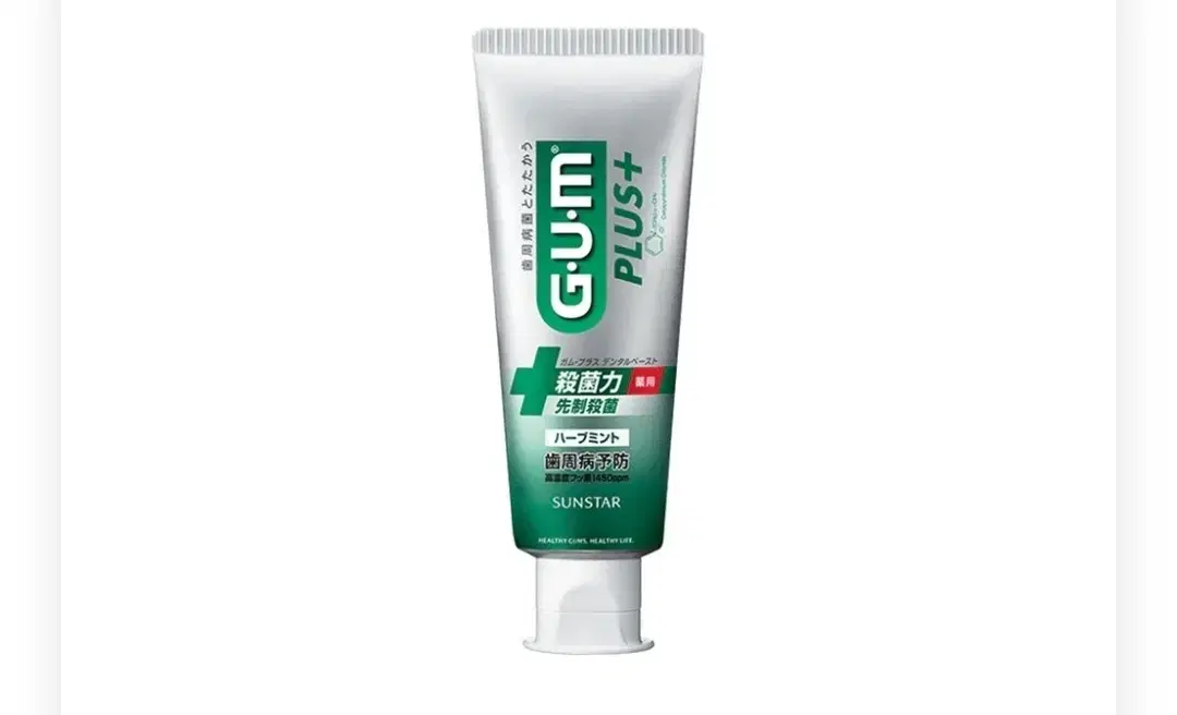 일본 GUM 플러스 덴탈페이스트 120g 2종